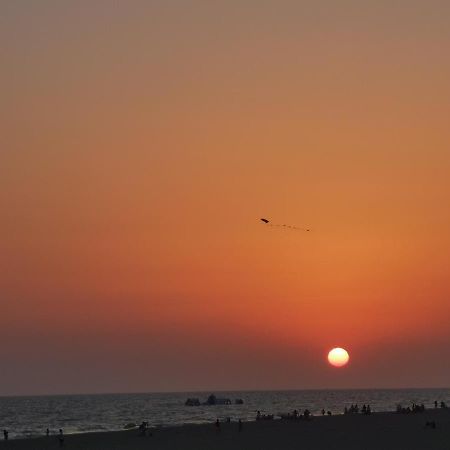 شقة Entre Pinos Y Playa ماتالاسكانياس المظهر الخارجي الصورة